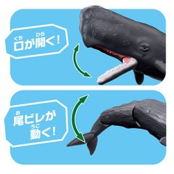 ヨドバシ.com - タカラトミー TAKARATOMY アニア AL-34 マッコウ