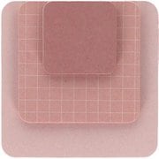 限定 ふせん ザブトーン 和紅茶 S2848597