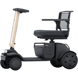 Model R(シルキーブロンズ)