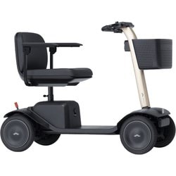 Model S（シルキーブロンズ）_急速充電器セット