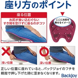 backjoy メディコアリリーフPROミニ　ブラック バックジョイ メディコアリリーフ PRO グレー ブラック BackJoy