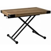 UP 205 PULLEY Lifting Table 54044580