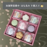 加賀野菜 お吸い物・味噌汁最中 9個入(各味加賀太きゅうり、五郎島金時、加賀れんこん)HANA9