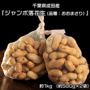 高梨さんの 『ジャンボ落花生(品種:おおまさり)』 千葉県成田産 約1kg(約500g×2袋)簡易箱 ※冷蔵【ご注文受付は2025年9月25日(木)決済完了分まで】 204z01658