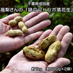 高梨さんの 『謎のジャンボ落花生』 千葉県成田産 約1kg（約500g×2袋）簡易箱 ※冷蔵 [ご注文受付は2025年10月9日（木）決済完了分まで]