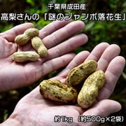 高梨さんの 『謎のジャンボ落花生』 千葉県成田産 約1kg（約500g×2袋）簡易箱 ※冷蔵 [ご注文受付は2025年10月9日（木）決済完了分まで]