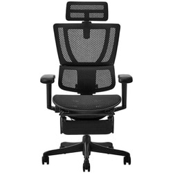 エルゴヒューマン Ergohuman フィット2 ライト ブラックフレーム ブラック FIT2 Lite-BF-BK 443306