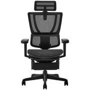 エルゴヒューマン Ergohuman フィット2 ライト ブラックフレーム ブラック FIT2 Lite-BF-BK 443306