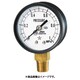 右下 一般圧力計 圧力レンジ0～0.1MPa 接続部サイズR1/4 S-11-R-0.1MPA