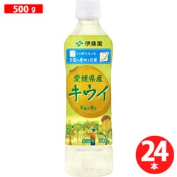 ニッポンエール キウイ 愛媛県産 500g×24本
