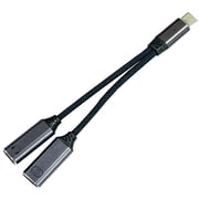 Type-C(オス)to Type-C(メス)&Type-C(メス)イヤホンマイク 変換コネクタ LAD-CMCFCF100