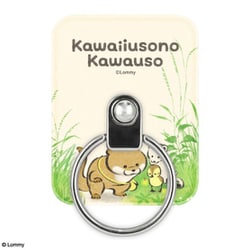 マルチリング 可愛い嘘のカワウソ 集合 KUK-05B