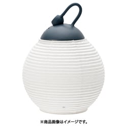 スノーピーク　 Peak たねほおずき　つきよ　たねび　雪峰祭限定 たねほおずき つち | Snow Peak (スノーピーク) | OUTDOOR GEAR