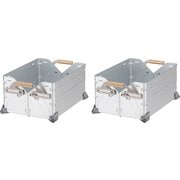 野遊びセット コンテナ2個セット FK-396
