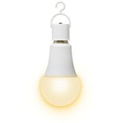 LEDマルチ電球 60形 電球色 R-LED60L