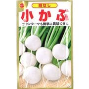 時なし 小かぶ