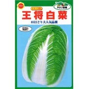 タキイ交配 王将白菜