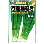 風味最高 万能葉ねぎ