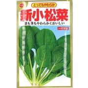 とってもやわらか 新小松菜