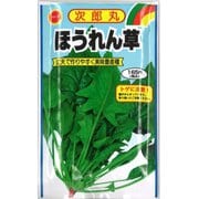 次郎丸 ほうれん草