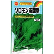 サカタ交配 ソロモン法蓮草