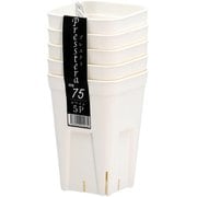プレステラ 深型75 5個組 株分け・根挿し