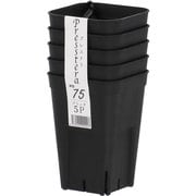 プレステラ 深型75 5個組 株分け・根挿し