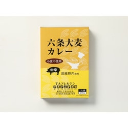 レトルト 六条大麦カレー 国産豚肉使用 中辛 200g