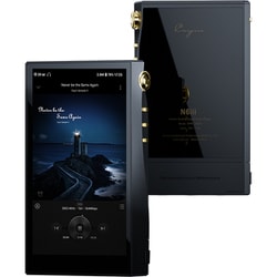 N6iii メモリタイププレーヤー R202 フルバランス24bit R-2R DAC搭載 SPK-A006-R202