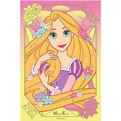ディズニープリンセス インセンス ラプンツェル フローラルアンバーの香り 12本