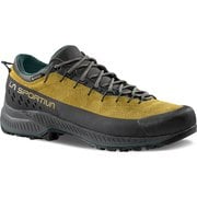 トラバース4 EVO GTX メンズ ハイキングシューズ サバナ/ジャングル(E32E21) EU41(26.1cm) ZFAS052