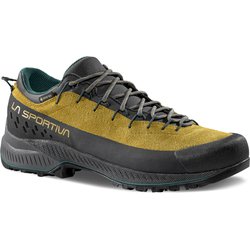 トラバース4 EVO GTX メンズ ハイキングシューズ サバナ/ジャングル（E32E21） EU42（26.7cm） ZFAS052