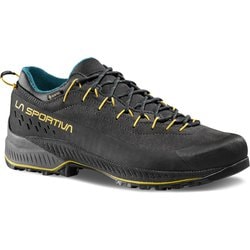 トラバース4 EVO GTX メンズ ハイキングシューズ カーボン×バンブー（G00E35） EU45（28.5cm） ZFAS052