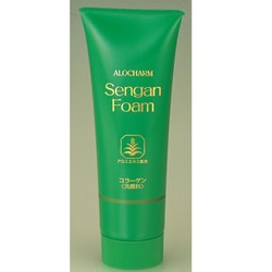 アロチャーム 洗顔フォーム 120g