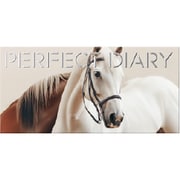 Perfect Diary エクスプローラ12色アイシャドウパレット 22 オータムチェスナット