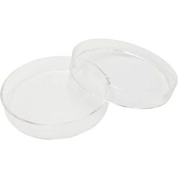 AS シャーレ 3160077 2-3977-03