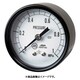 右下 圧力計 DT R1/4×50×0.25MPa S-130-R-0.25MPA