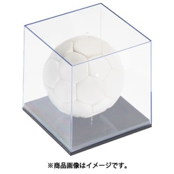 蝶プラ サインボールケース 561048