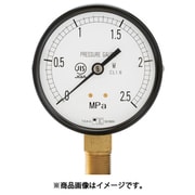 一般圧力計（A枠立型・Φ100）圧力レンジ0.0～0.1MPa G3/8 1027010