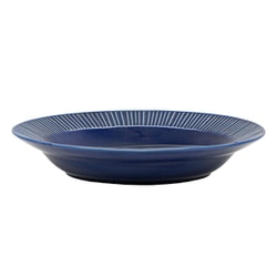 ソギ（Sogi）カレー パスタ皿 直径約21cm /食洗機対応/電子レンジ対応/ 瑠璃 ネイビー 567083