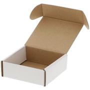 フリーボックス 白無地 F-81 10枚入り 006207010