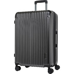 スーツケース ハードキャリー ファスナータイプ 拡張機能付き 旅行目安日数：1週間以上 90L/拡張時101L TSAロック搭載 預け入れ無料 ペットボトルホルダー付き ブラックカーボン TE-0891-64