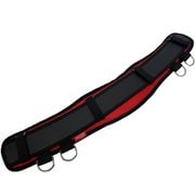 サポートベルトDXロングレッド SNB-1000