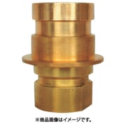黄銅製 町野式 異径 媒介金具 E105 町野オス×ガスネジメス（PTネジ） 43E5040B