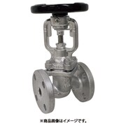 YOSHITAKE ダクタイル製 ベローズシールバルブ 32A BSV-20F-32A