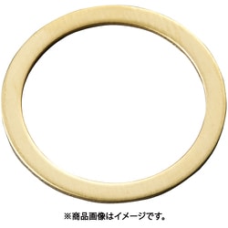 シムリングCUZN（10枚入）T0.2 RB020022020