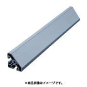 item アングルプロファイル エコノミー型 APE4040N-3M