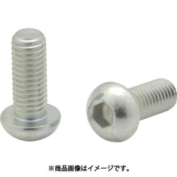 イマオ 六角穴付ボタンボルト CSDM5X20P-3C