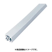 item ストラットプロファイル5 L5-SPH2020N2-3M