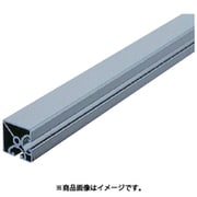 item ストラットプロファイル エコノミー型 SPE4040N2-3M